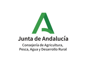 Junta